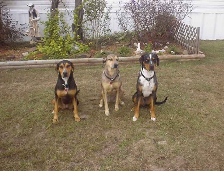 Click on dis to make it Big!