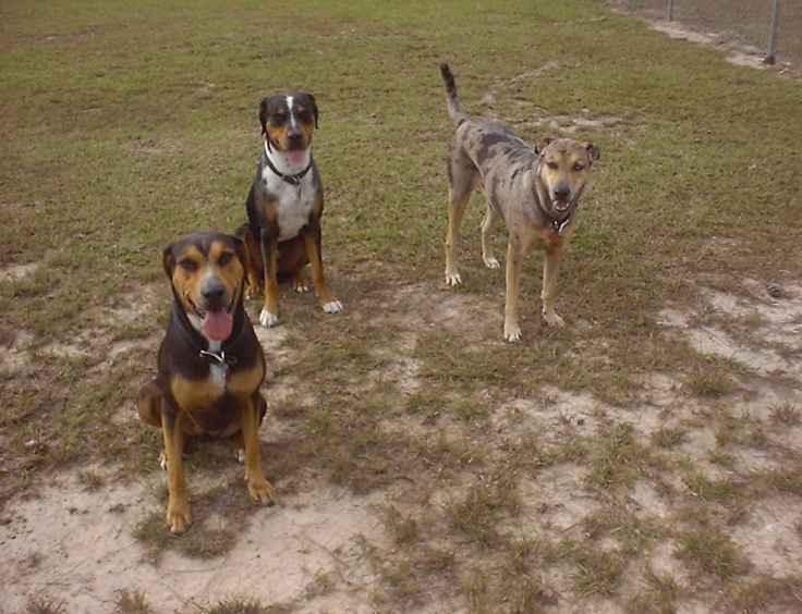 Click on dis to make it Big!