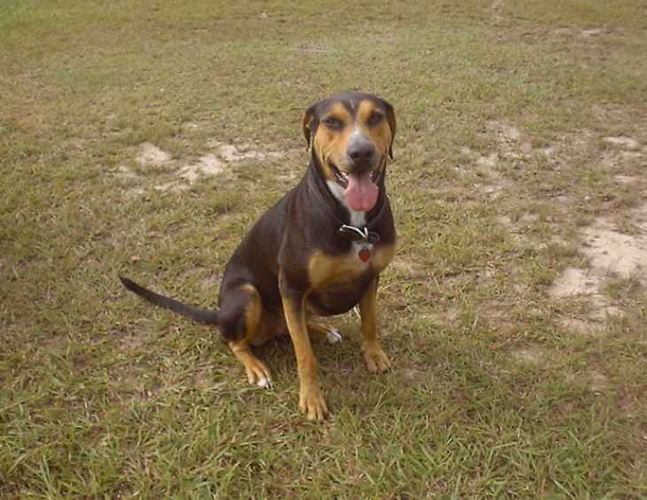 Click on dis to make it Big!