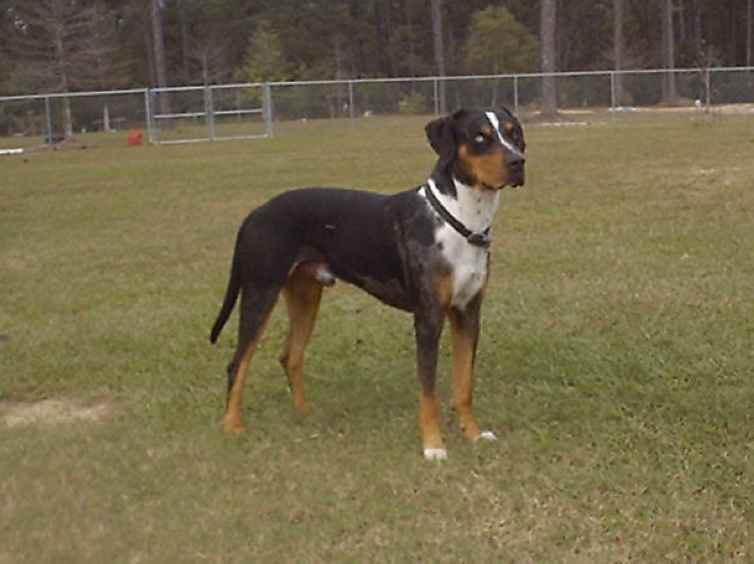 Click on dis to make it Big!