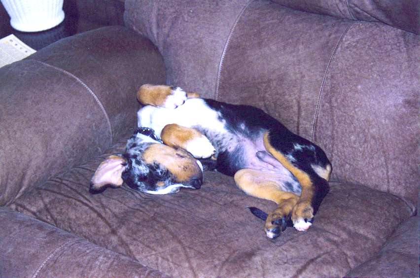 Click on dis to make it Big!