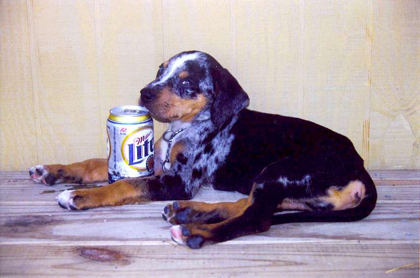 Click on dis to make it Big!