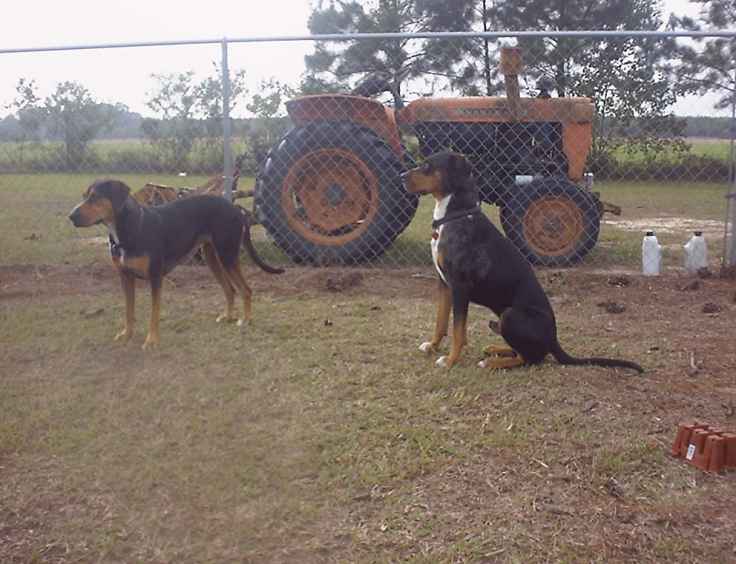 Click on dis to make it Big!