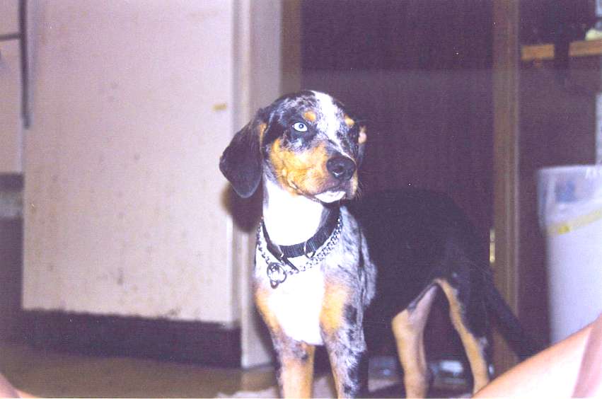 Click on dis to make it Big!