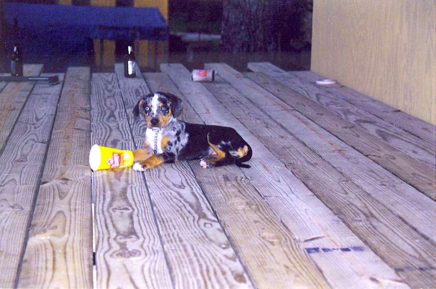 Click on dis to make it Big!