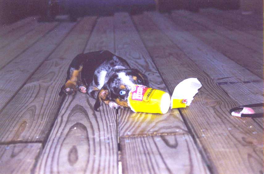 Click on dis to make it Big!