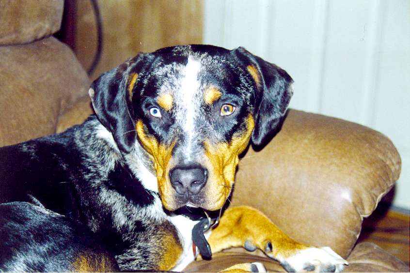 Click on dis to make it Big!