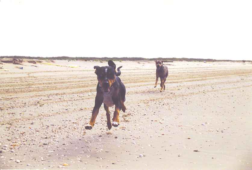 Click on dis to make it Big!