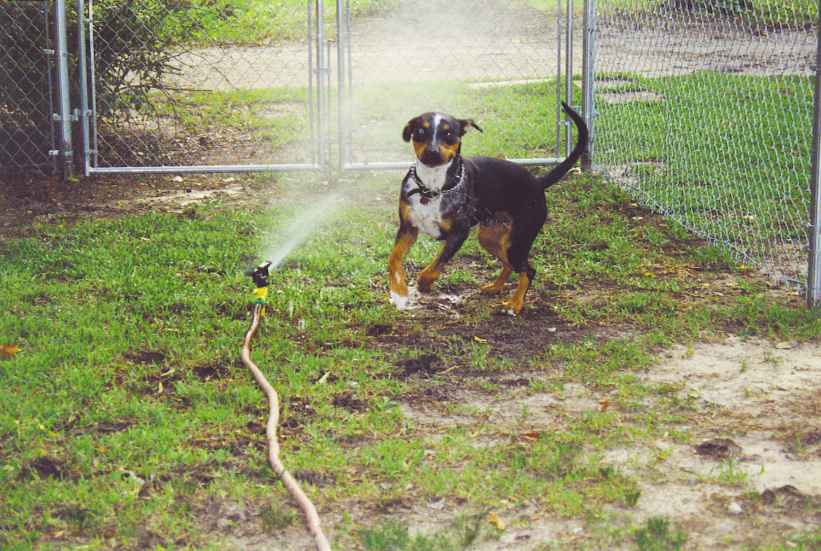 Click on dis to make it Big!