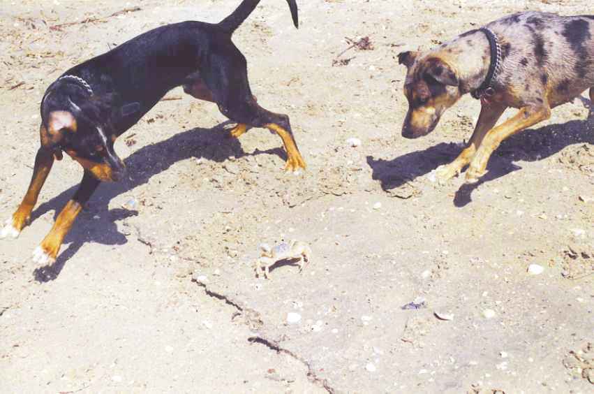 Click on dis to make it Big!