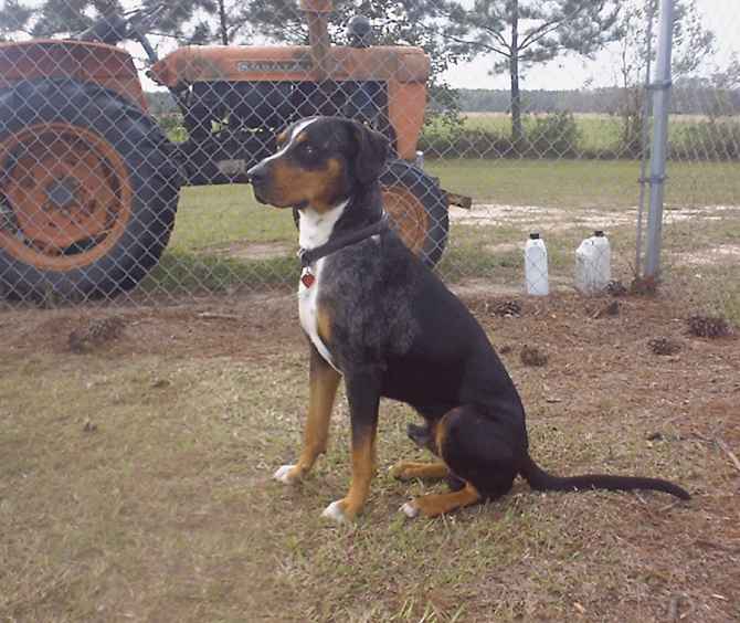 Click on dis to make it Big!