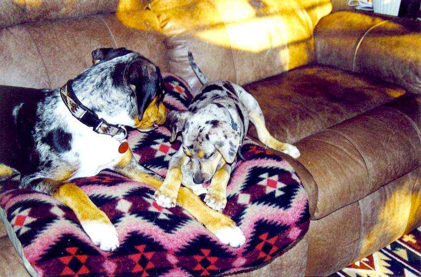 Click on dis to make it Big!