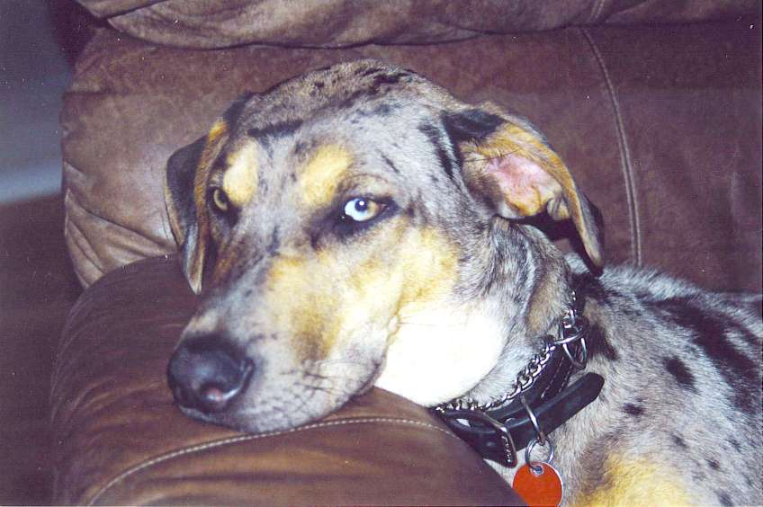 Click on dis to make it Big!