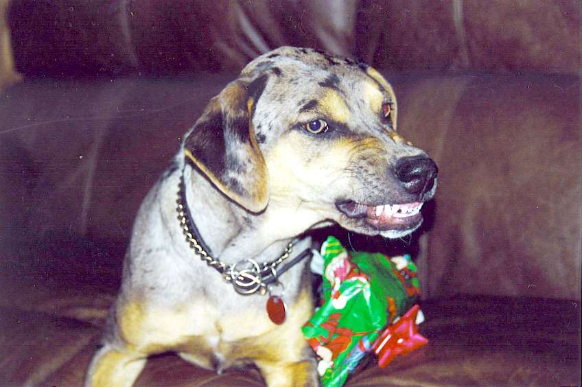 Click on dis to make it Big!