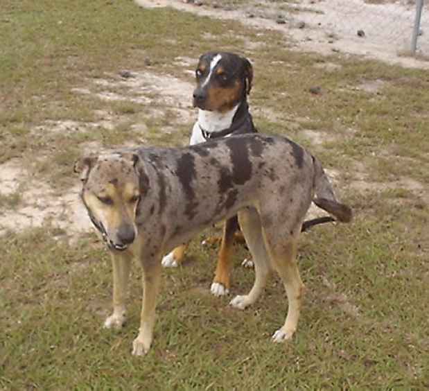 Click on dis to make it Big!