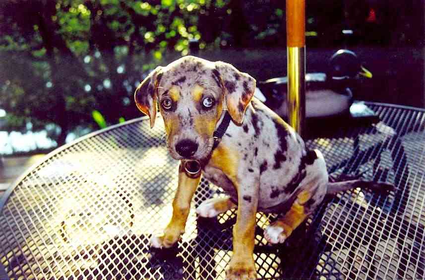 Click on dis to make it Big!