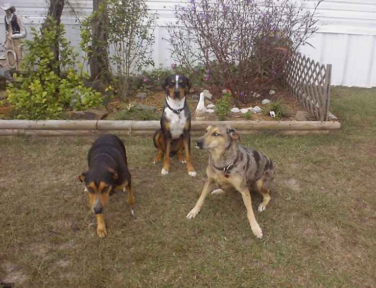 Click on dis to make it Big!